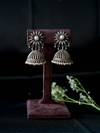 PARAMA JHUMKAS - EPA05