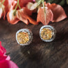 ZIRCONIA EARRINGS - EMANN26