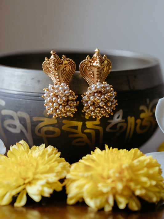 Abhini Earrings (EAB28)